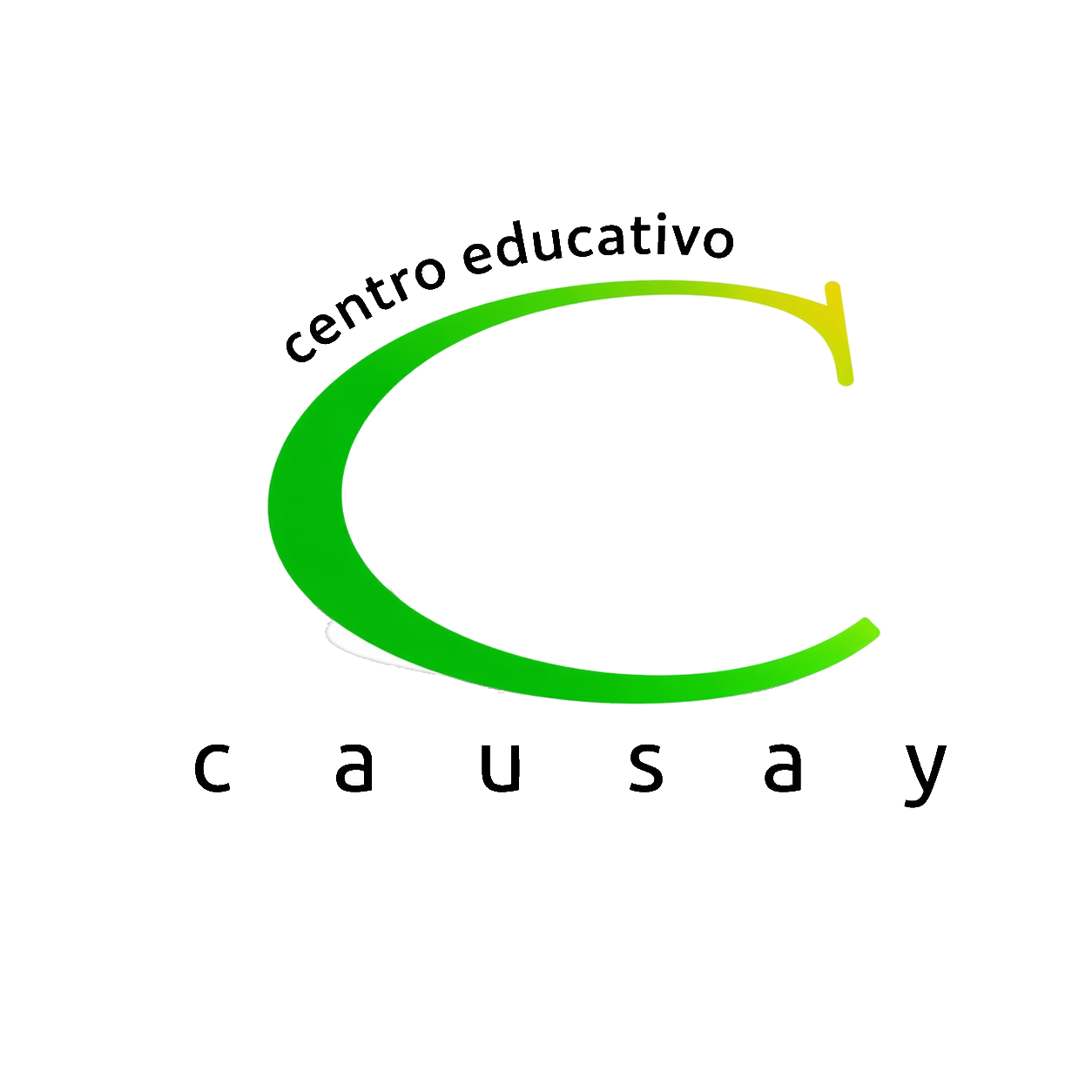 Causay — cliente de estrategia digital en Bonnie Ación